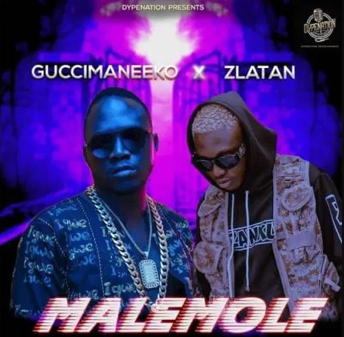 Guccimaneeko ft. Zlatan Malemole Mp3 Download