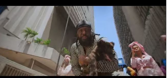 Timaya Video Download