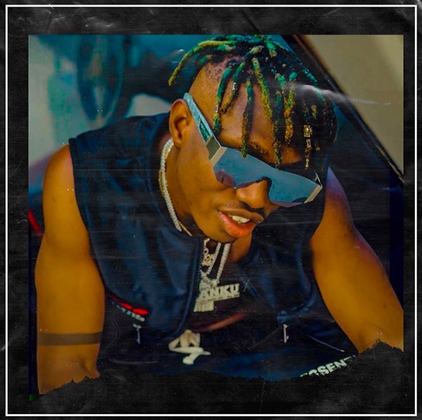 New Song Alert! Zlatan on Unripe Pawpaw