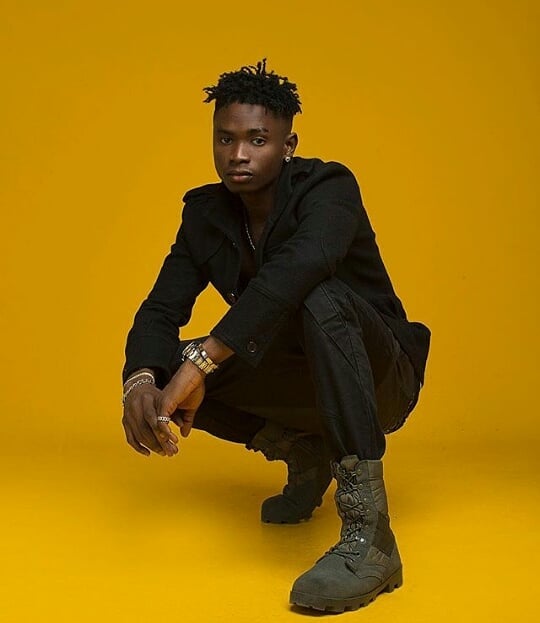 Top 10 Nigerian artistes who have fallen off stage while performing