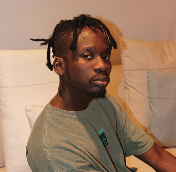 Top 10 Nigerian artistes who have side hustle apart from music