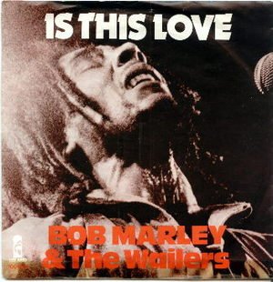 10 Evergreen songs from Bob Marley to re-visit