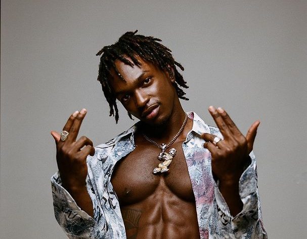 The top 5 diaspora Nigerian musicians pushing the culture