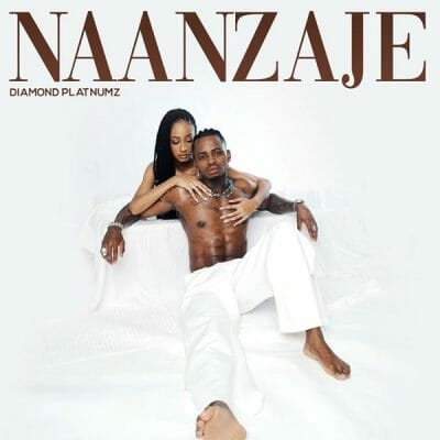 Diamond Platnumz – Naanzaje