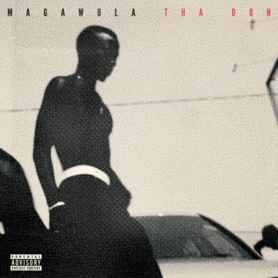 Artist Magawula The Don releases latest EP 'Izinja Zegame'