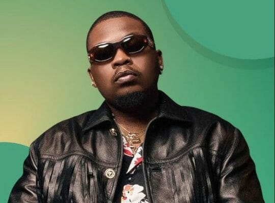 Top 30 Nigerian artistes and their state of origin