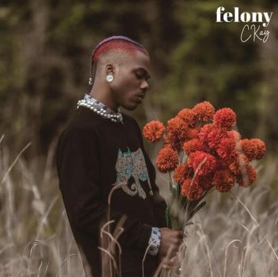 Apart from 'Love Nwantiti', check out other hit songs Ckay has released