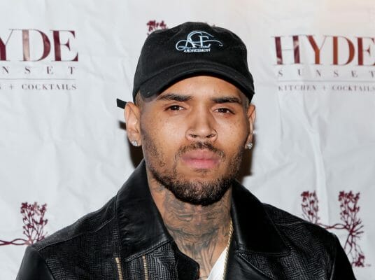 Chris Brown sued for over $1 Million after his dog attacked his maid