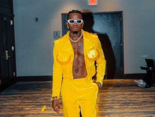 Diamond Platnumz - Tanzania’s Music Jungle- The Lion, The King and The Elephant