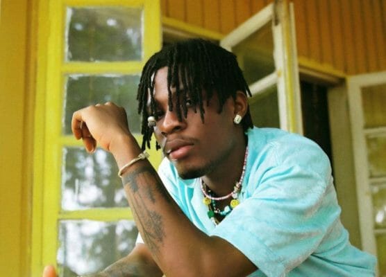 Top 10 Nigerian artists that Blew through Instagram and Twitter