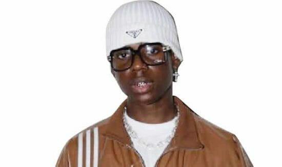 Nigerian artists who returned to school after becoming famous