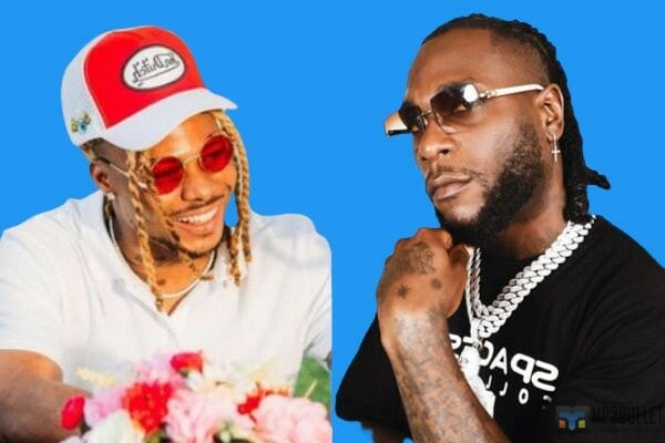 Top 10 Nigerian artistes that own the year 2022