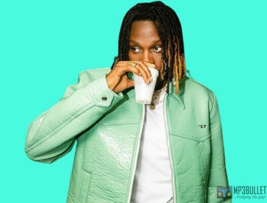 Fireboy DML unveils the release date for third album "Playboy"