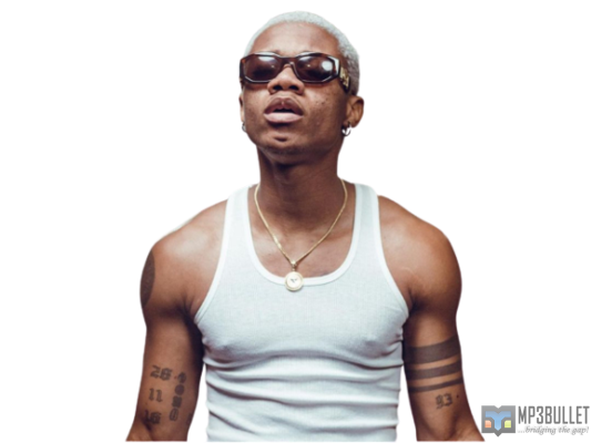 KiDi discusses how he got begins his musical journey at Lynx Entertainment.