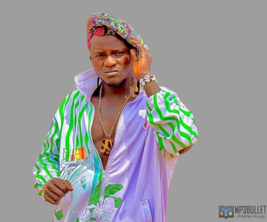 Portable allegedly gets into a fight at a show in Ogun state