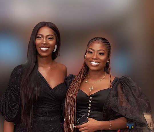 Sophia Momodu reacts as Tiwa Savage buys diamonds for dog