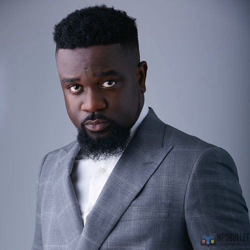 A female supporter accuses Sarkodie of calling critics animals.