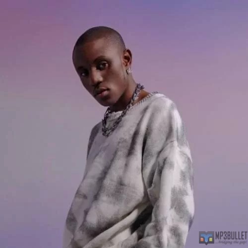 The biggest musical surprises in the Nigerian music industry in 2022