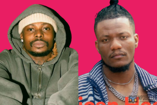 The biggest musical surprises in the Nigerian music industry in 2022